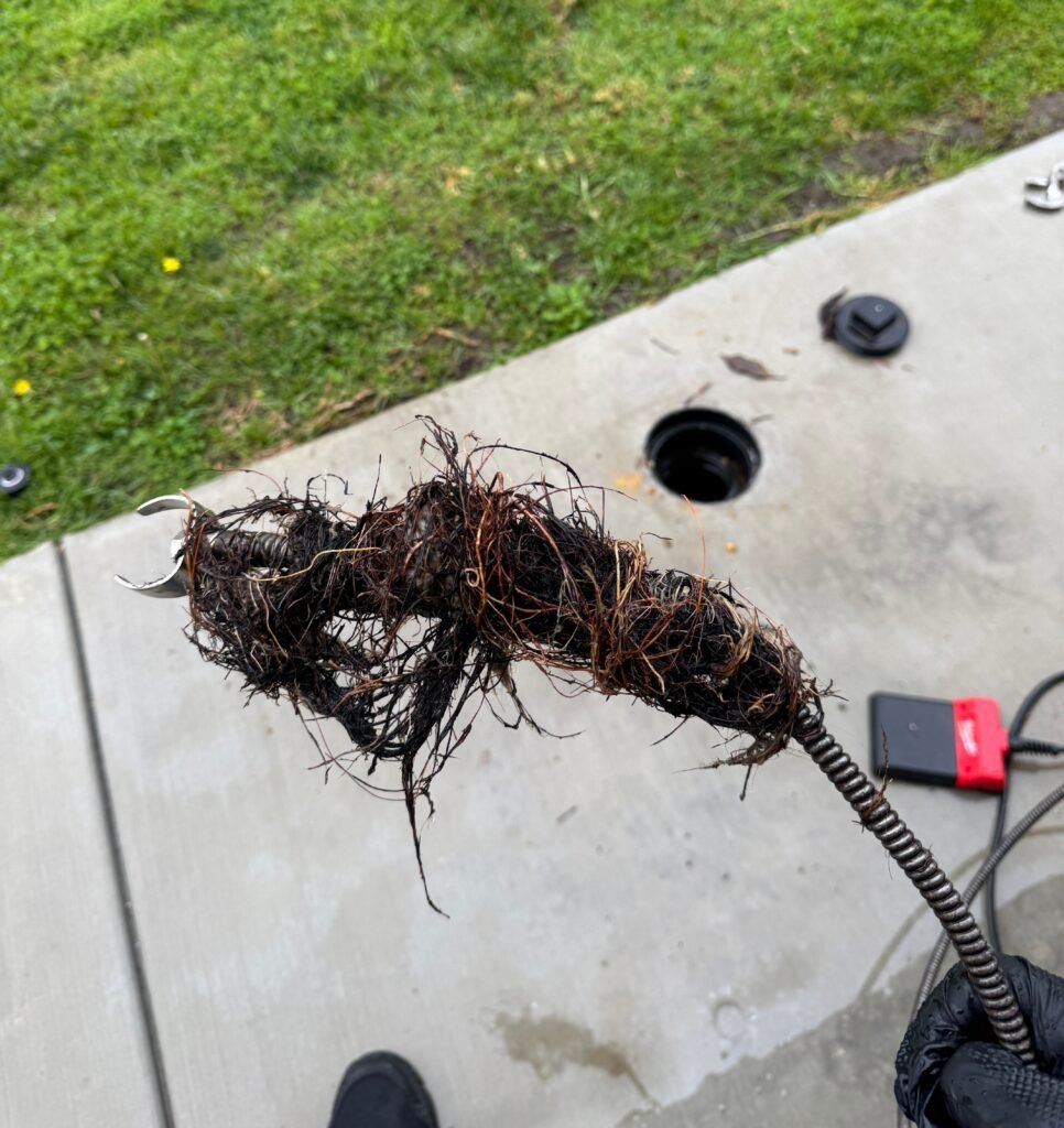 Signature Plumbing Solutions